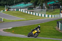 Lower Group Yellow Bikes
